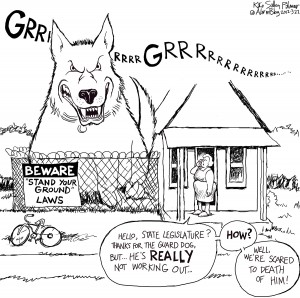 2012-3-22-stand-your-ground-laws-bigdogink5in